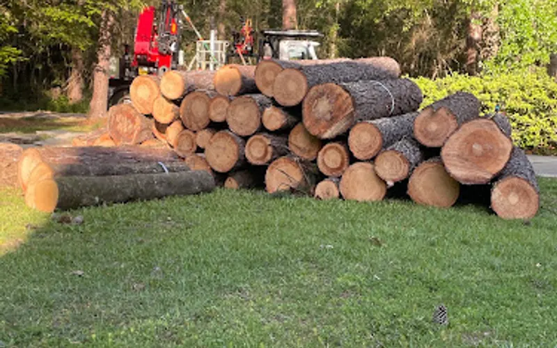 Cannon Tree Service LLC — Tree service