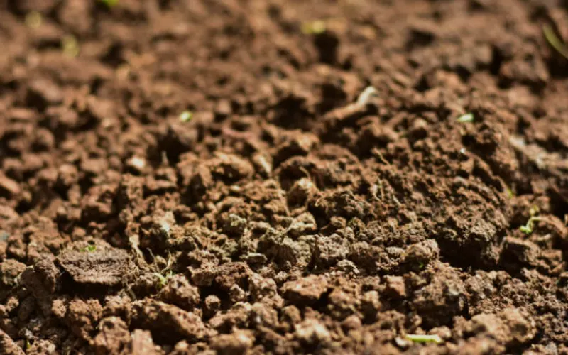 American Soil Amendment Products and Nursery — Landscaping supply store