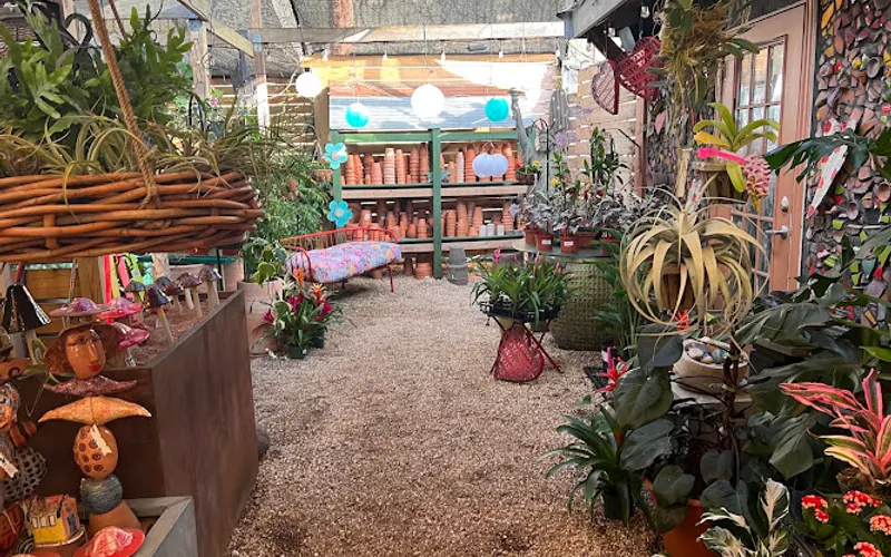 Bloom Garden Shop — Garden center