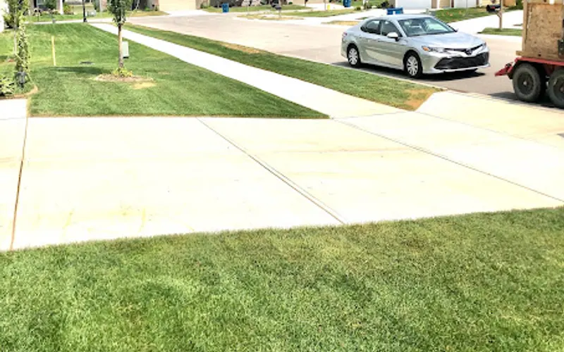 Munguia’s Tree Services & Landscaping — Tree service