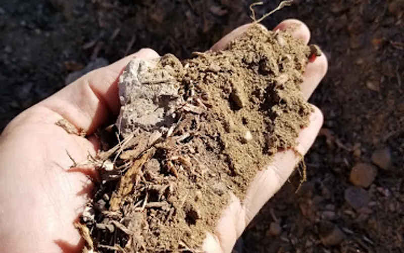 Birch Tree Bark & Stone — Topsoil supplier