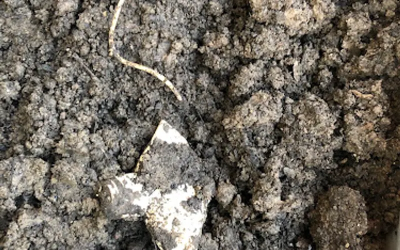 Leo Brenon Top Soil — Topsoil supplier