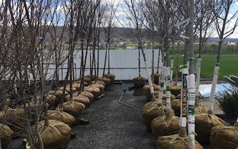 Sauder's Nursery — Plant nursery