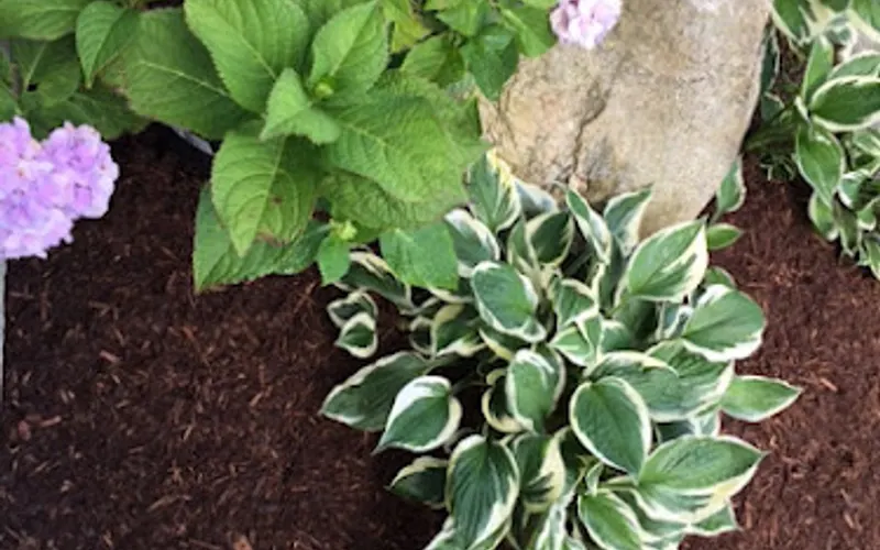 Wecare Denali — Landscaping supply store