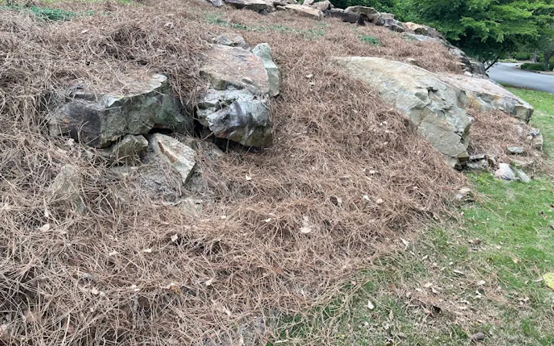 Luckie’s Pinestraw & Mulch – Vestavia Hills, AL — Landscaping supply store