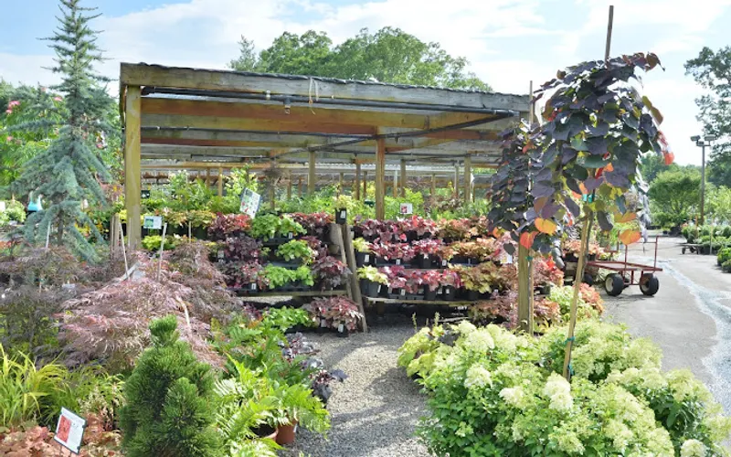 B.B. Barns — Garden center