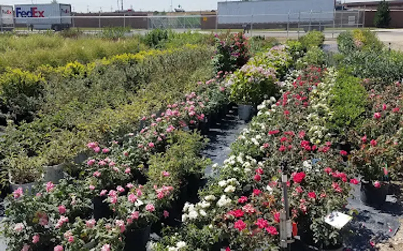 Arbor Valley Nursery — Wholesale plant nursery
