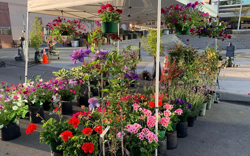 L&R Nursery, Inc — Plant nursery