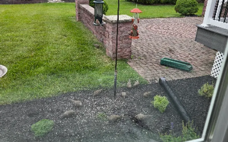 Score Seed & Garden Supply — Garden center