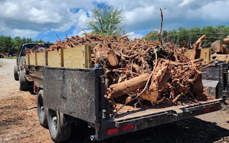 Capps Brothers Pulp Wood/Mulch — Mulch supplier
