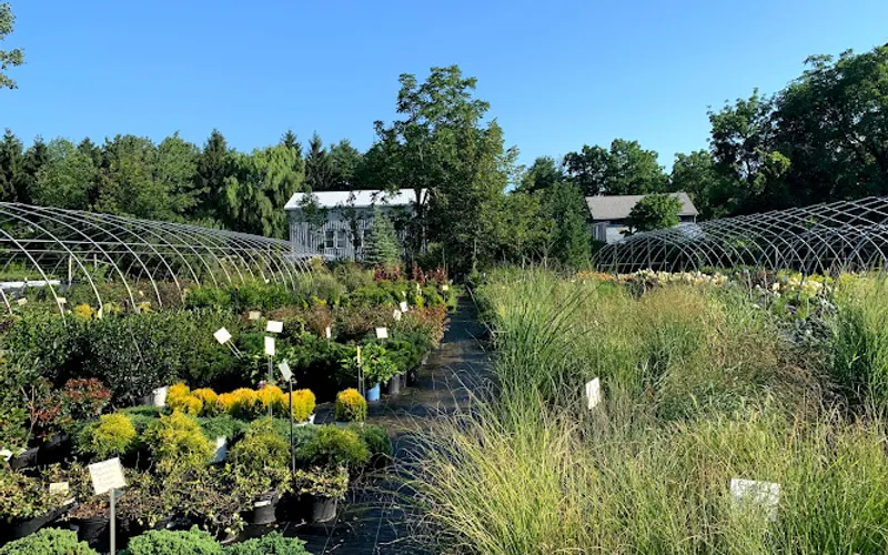 Country Side Nursery — Plant nursery