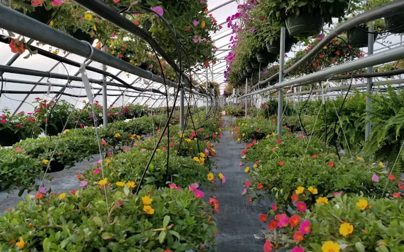 J & T Nursery & Landscaping — Plant nursery