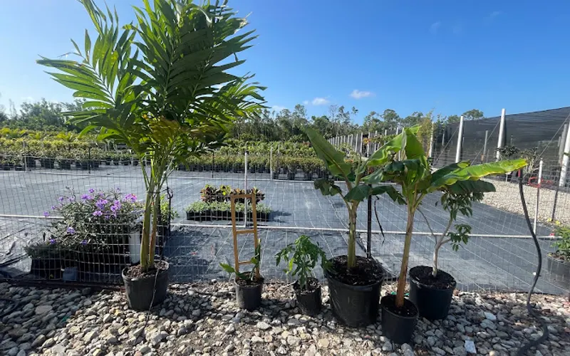 Depot Nursery LLC — Landscaping supply store