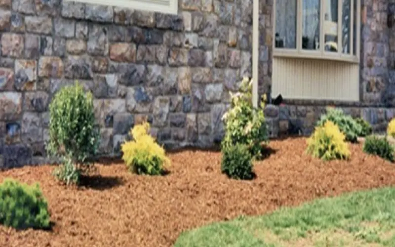A. K. Mulch & Firewood — Mulch supplier