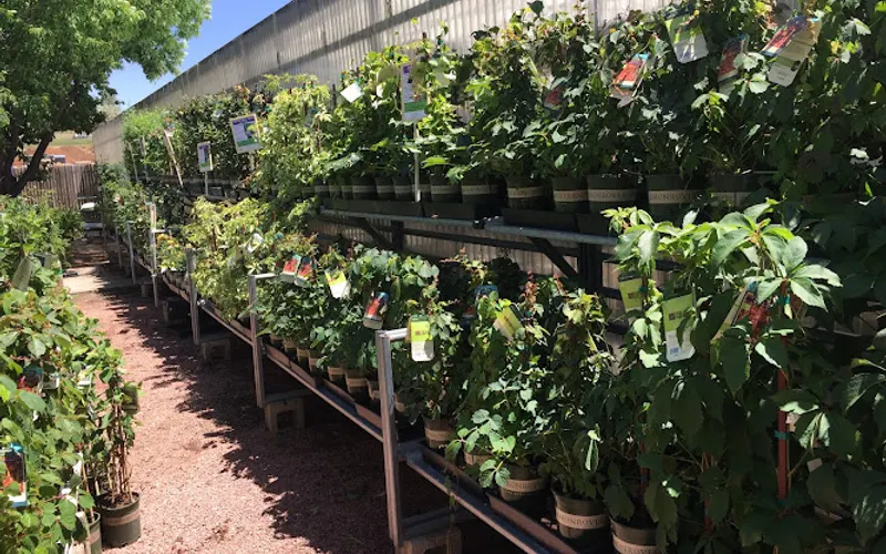 Tagawa Gardens — Garden center