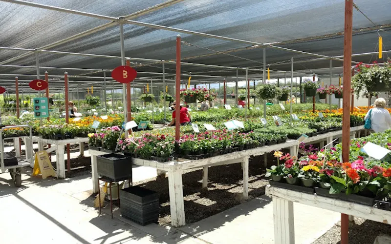 Sierra Vista Growers — Garden center