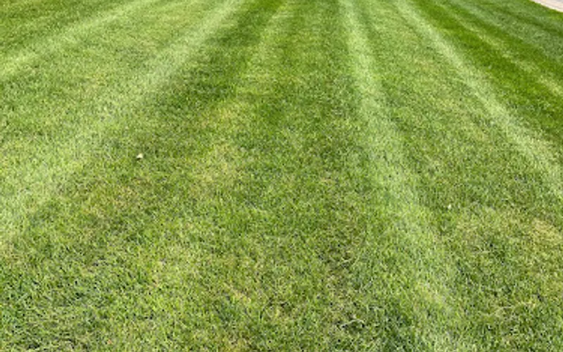 North Brook Landscapes LLC — Lawn care service