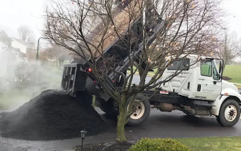 AMC Nursery & Landscaping, Inc. — Lawn care service