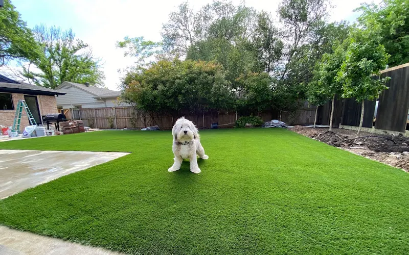 SYNLawn Seattle — Turf supplier