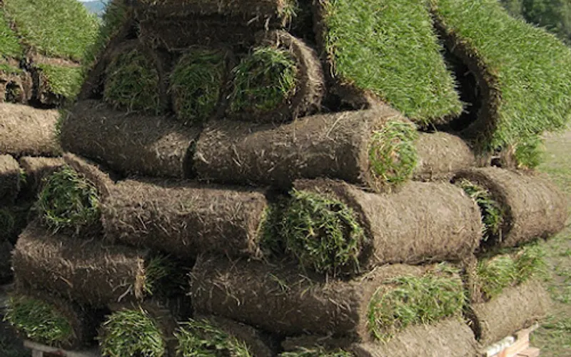 Country Garden Farms LLC — Landscaping supply store