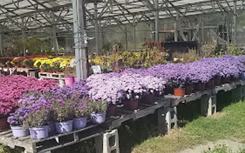 Hewitt's Garden Center Inc Glenville — Landscaper