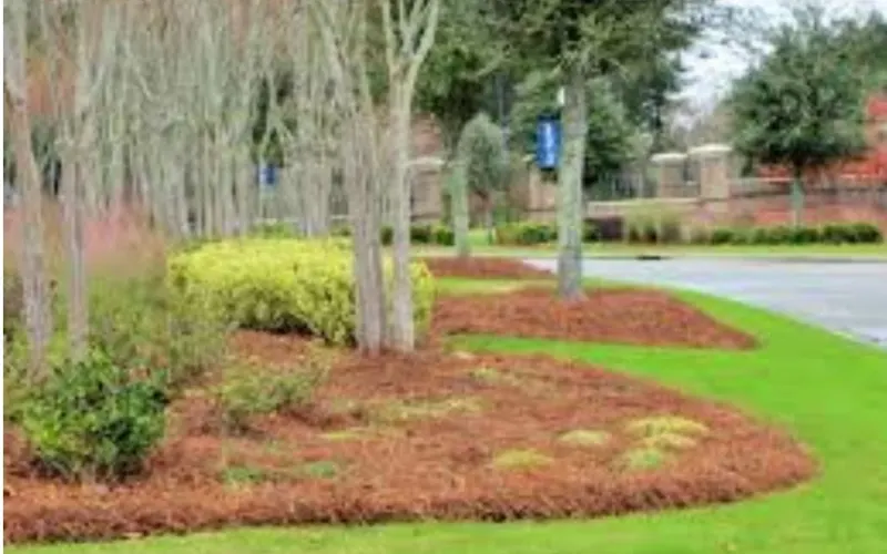 Mulch & Pine Spreaders — Mulch supplier