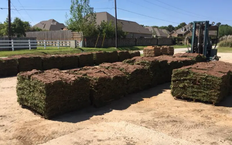 Burkett Sod — Sod supplier