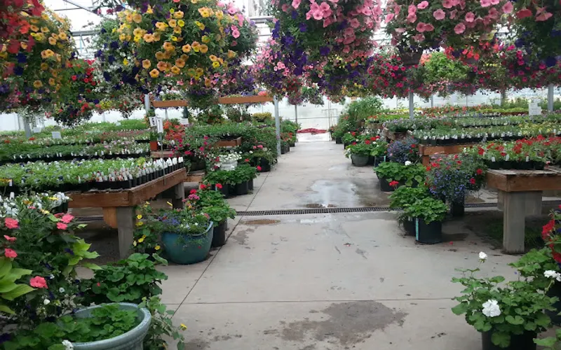 Wagner Nursery & Landscape Co. — Plant nursery