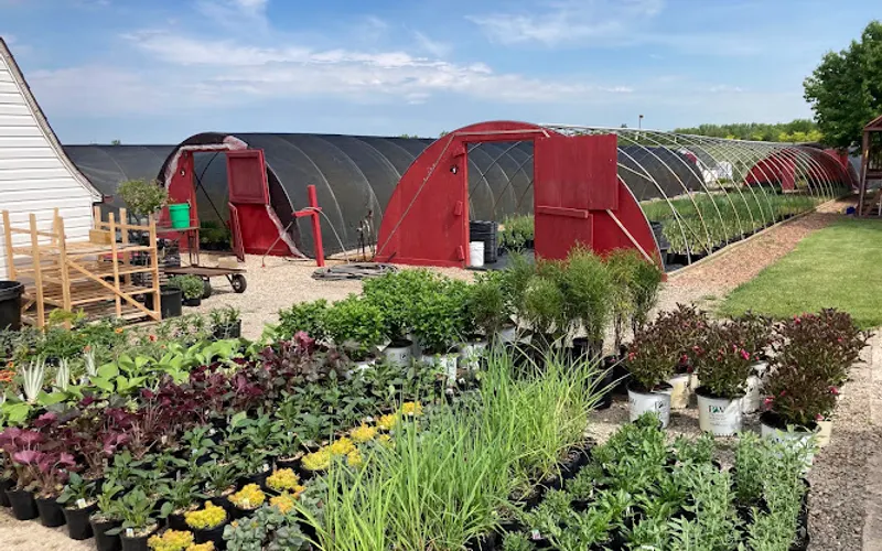 Badger Boyz Greenhouses LLC — Garden center