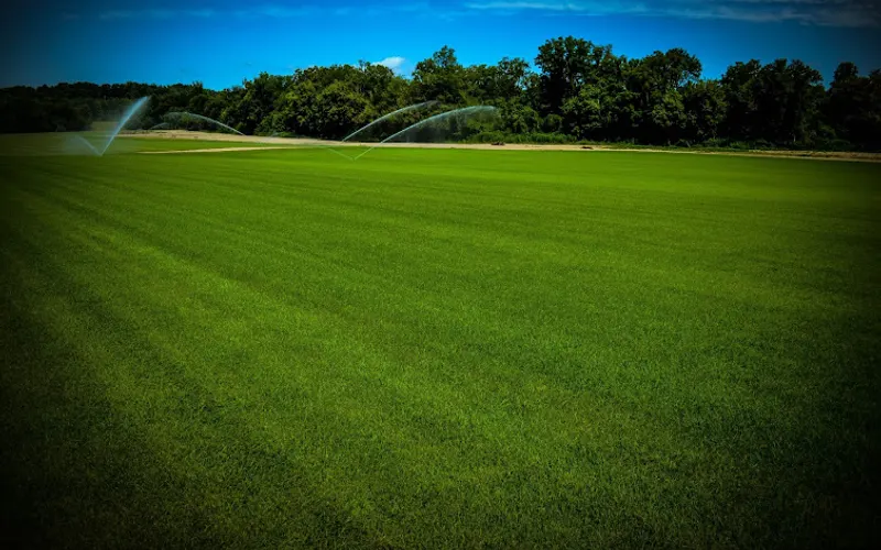 Pro Green Inc — Sod supplier