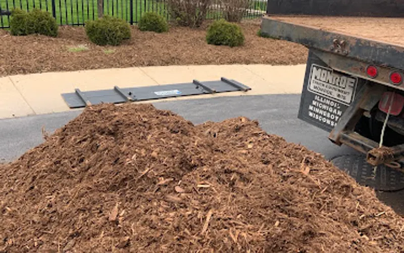 Lawn & Order — Lawn care service