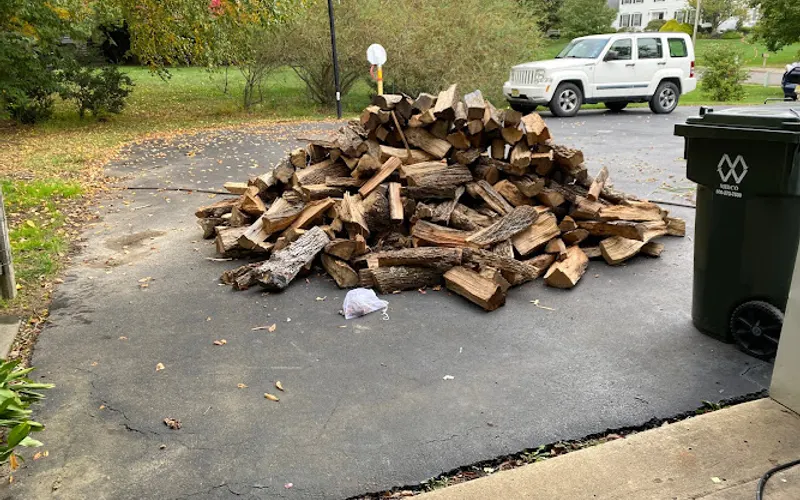 Timberwolf Tree Service — Tree service