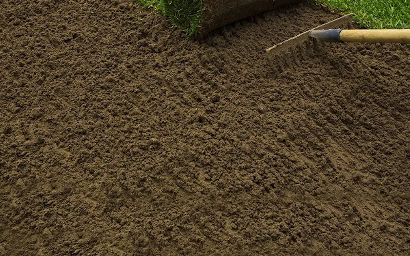 Soulliere Landscaping Patio & Garden Center — Garden center