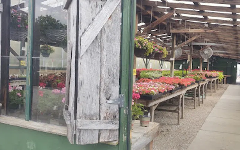 Mays Greenhouse — Garden center