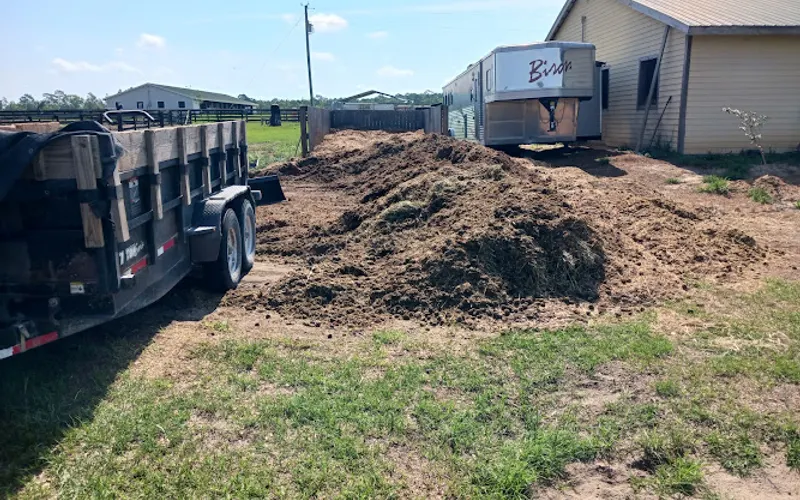 Levy Junk Removal & Hauling LLC — Debris removal service
