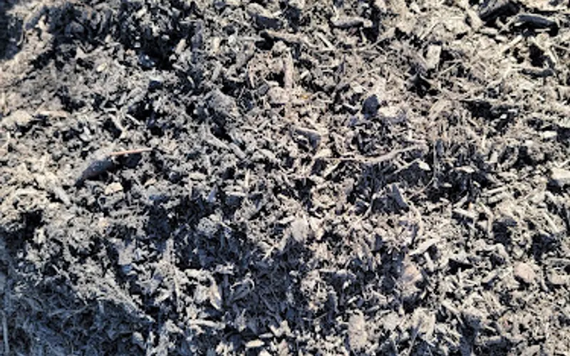 Demeuse Topsoil — Garden center