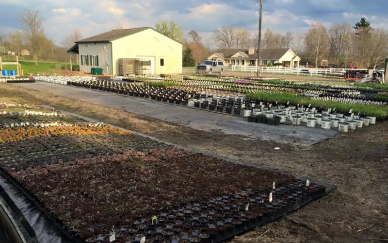Windridge Perennials & Landscaping — Landscaper