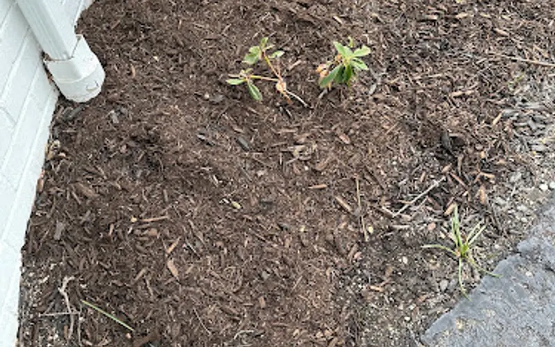 Bedrock Express Ltd — Landscaping supply store