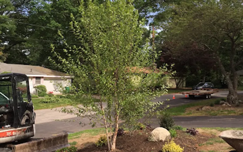 Treesdelivered.com by Wilscape — Plant nursery
