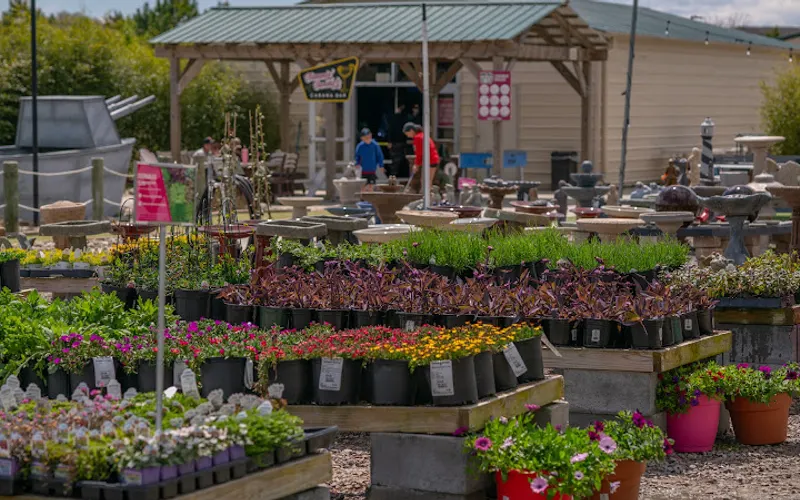 Anderson's Virginia Beach — Garden center