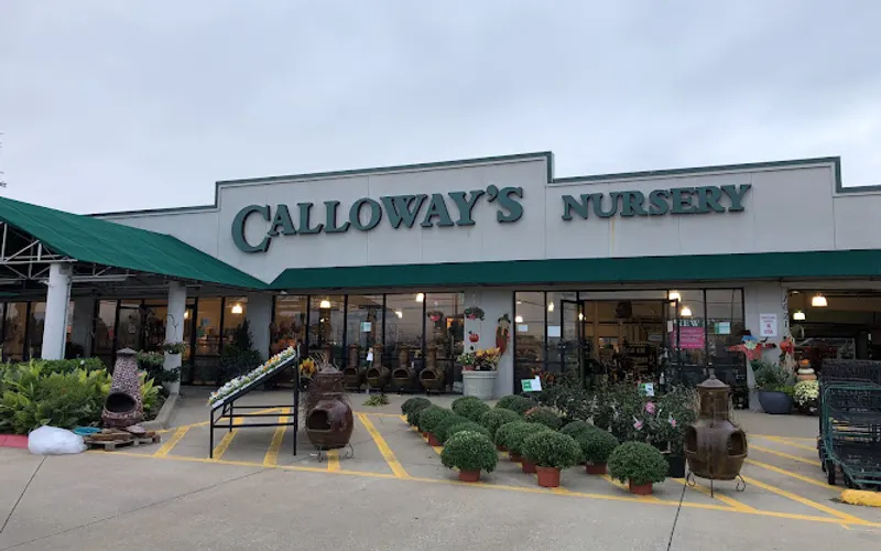 Calloway's Nursery — Garden center