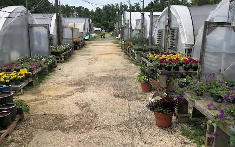 The Plant Place — Garden center