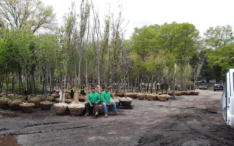 Victoria's Nursery — Garden center