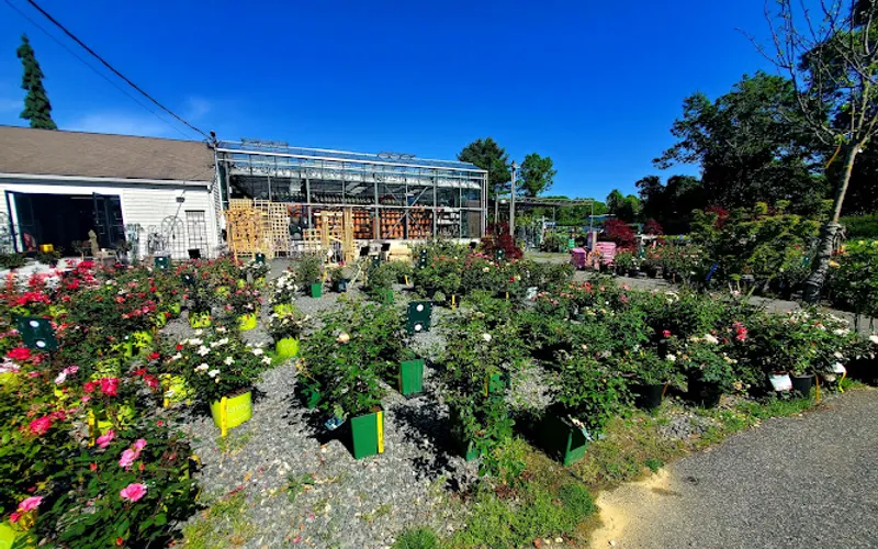 Mahoney's Garden Center — Garden center