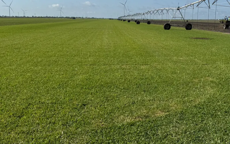 Mick's Turf Farm, INC — Sod supplier