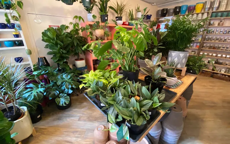 Planted IN Park Slope — Garden center