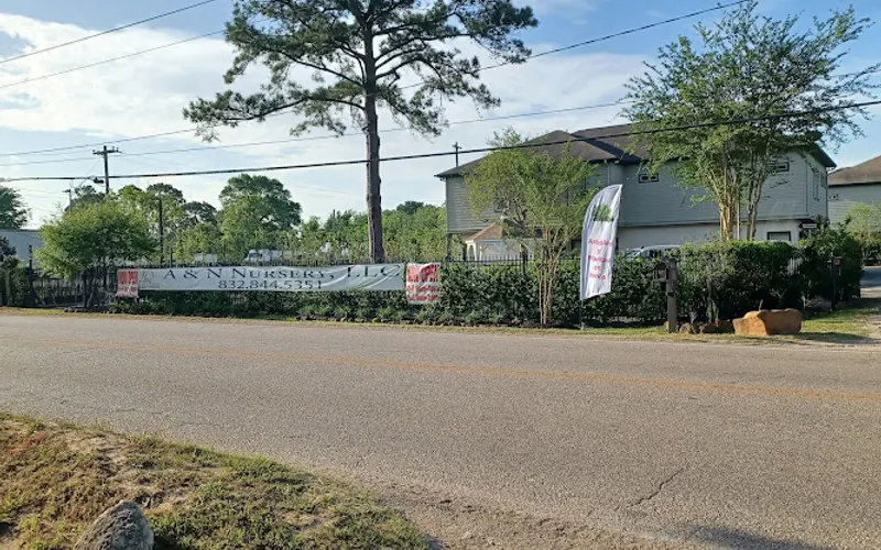 A & N Nursery — Wholesale plant nursery