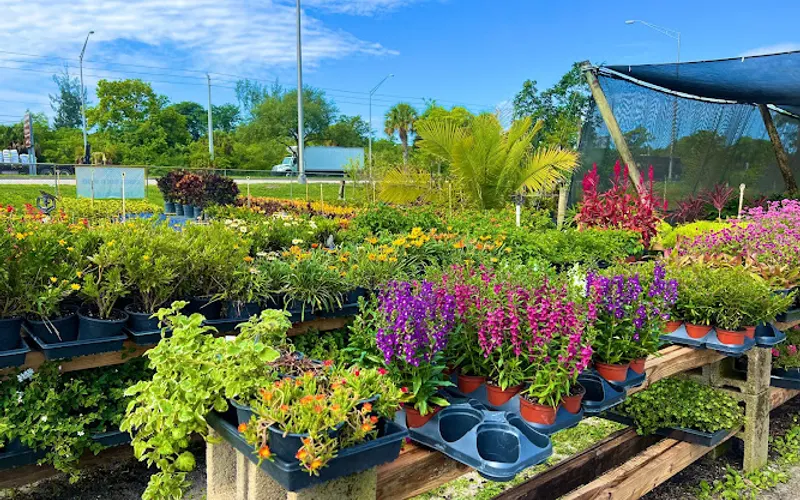 Meyer's Turf & Landscape Nursery South — Plant nursery