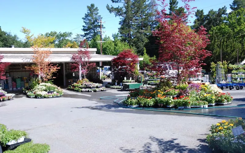 McDonnell Nursery — Garden center