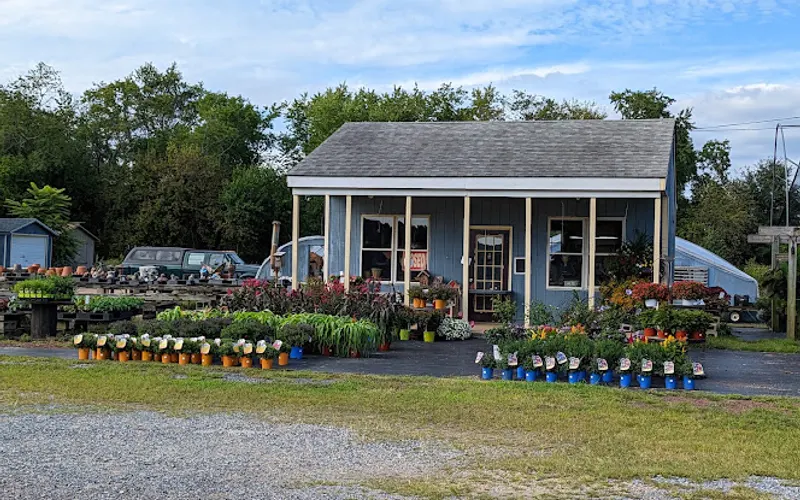 Garden Road Greenhouse — Garden center